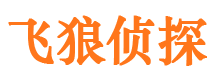 淅川外遇出轨调查取证